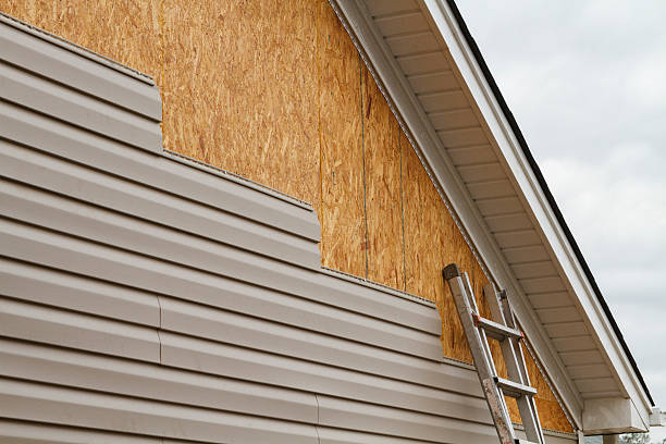 Professional Siding Repair technician working in Point Pleasant, WV